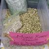 Supernova Sprouts mung beans