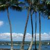 Looking back at Hilo town from Coconut Island