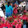 Market Day in Hilo