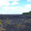 What's left of Kalapana town, all lava now