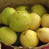 Debbie's guavas